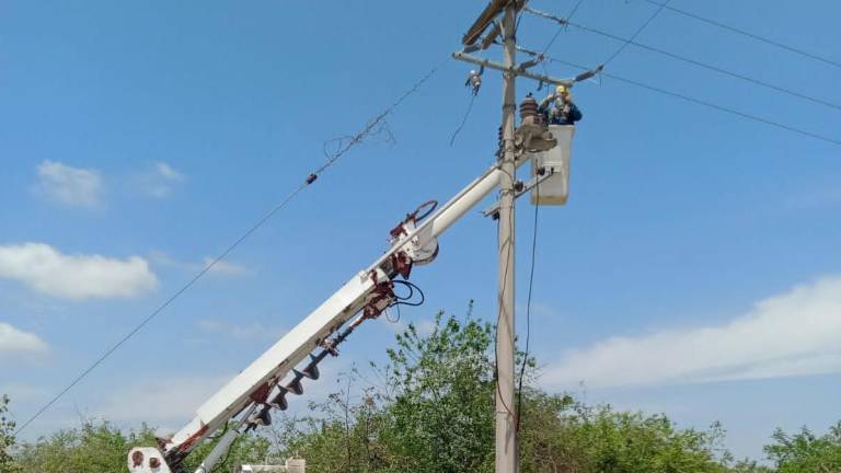 La Comisión Federal de Electricidad reconectó este jueves el servicio de energía.