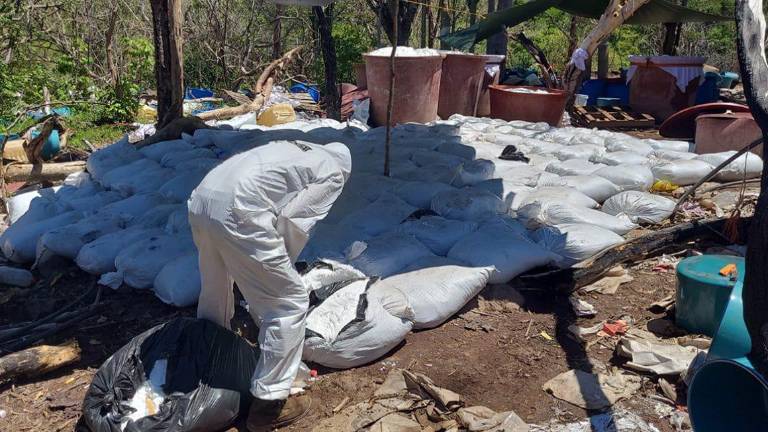 Fuerzas federales localizaron y desmantelaron laboratorios clandestinos de metanfetamina en zonas serranas de Sinaloa.