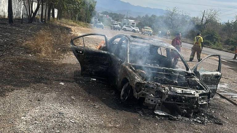 El vehículo terminó incendiado en un acotamiento.