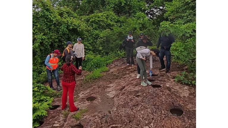 Las actividades se realizan los días de domingos con al menos tres rutas.