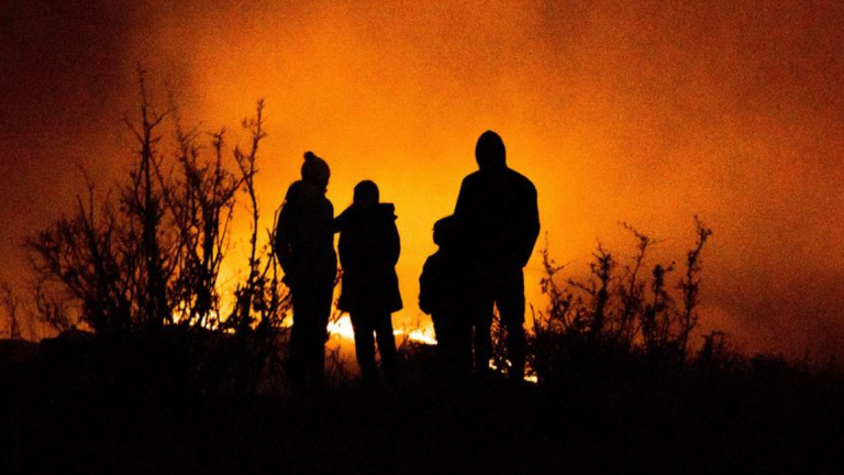 Los incendios forestales han causado estragos en toda Europa durante el verano boreal.
