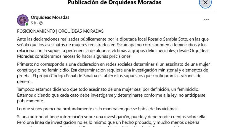 Orquídeas Moradas señaló que, aun cuando las autoridades acreditaran la participación de una víctima en alguna actividad ilícita, no disminuiría la gravedad de su asesinato ni eliminaría su derecho a recibir justicia.