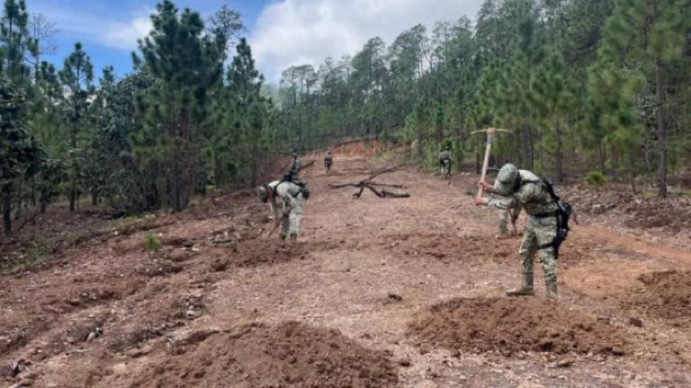 Ejército inhabilita pista clandestina en Choix
