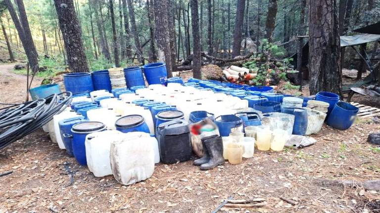 Aseguramiento de precursores químicos en Sinaloa.