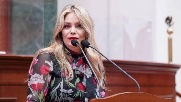 Connie Zazueta Castro, Diputada del PRI en la 64 Legislatura