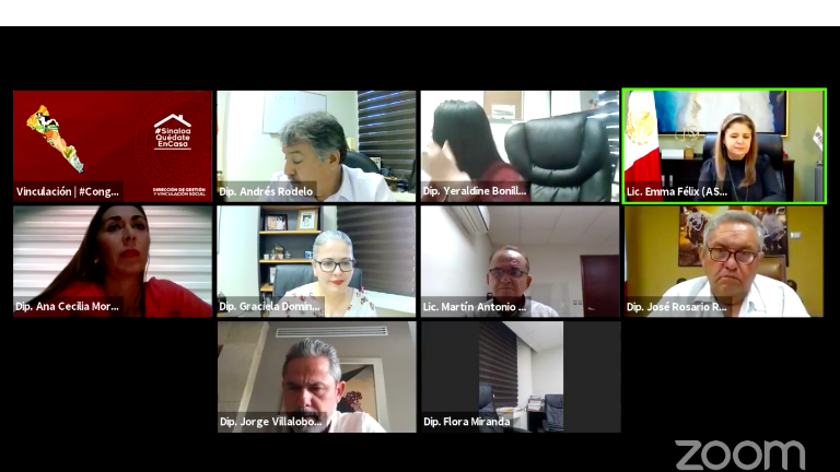 Comisión de Fiscalización con Emma Guadalupe Félix Rivera, titular de la ASE