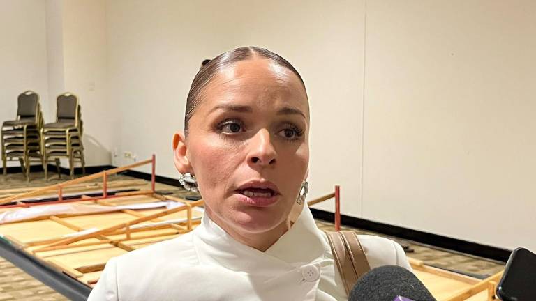 El sector restaurantero solicitó apoyo para trámites municipales, acceso a recursos económicos y flexibilidad en obligaciones fiscales, informó Rosa Cecilia Osuna, presidenta de Canirac.