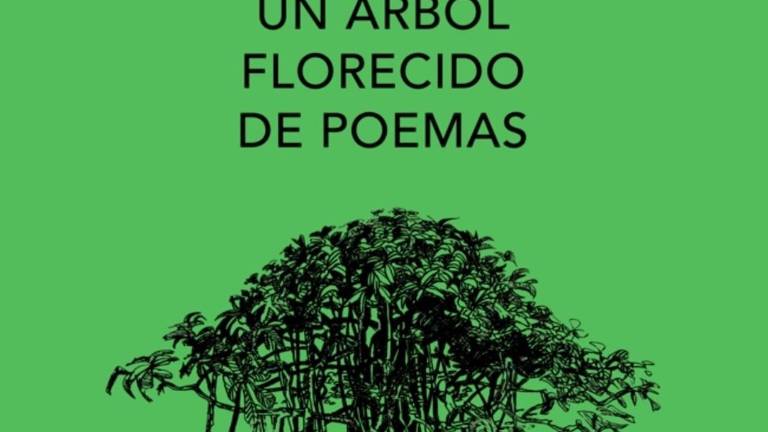 Invita Isic a celebrar el Día Mundial de la Poesía en el Jardín Botánico