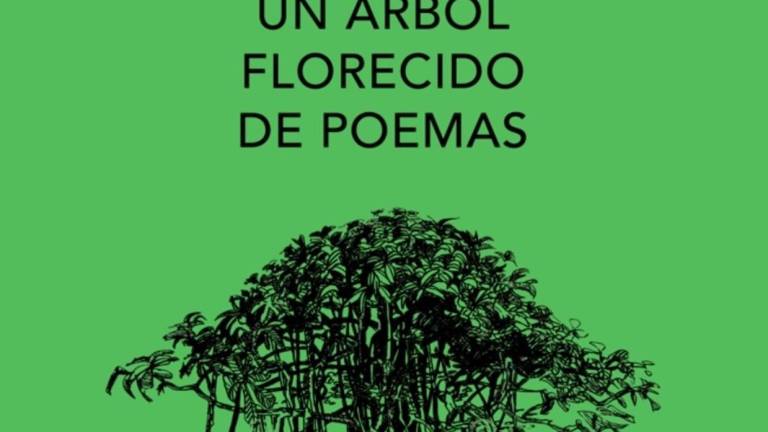 Invita Isic a celebrar el Día Mundial de la Poesía en el Jardín Botánico