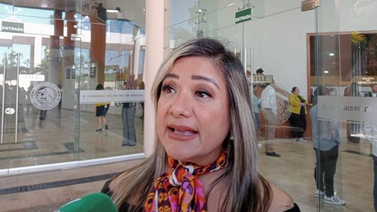 Liliana Margarita Campuzano Vega, comisionada presidenta de la Ceaip.