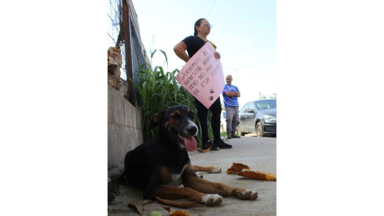 Vecinos del Fraccionamiento Hacienda Alameda, al norte de Culiacán, se manifestaron este viernes para exigir la reubicación de la Unidad de Bienestar Animal.