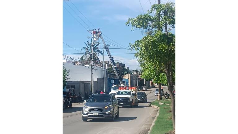 Personal de la CFE realiza labores de mantenimiento en la red en la Avenida Santa Rosa, en Mazatlán.