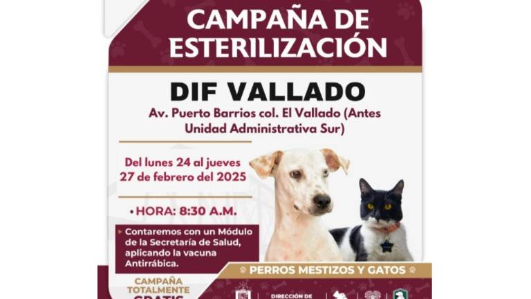 Las jornadas culminarán el jueves 27 de febrero y tendrán un horario de atención a partir de las 8:30 horas.