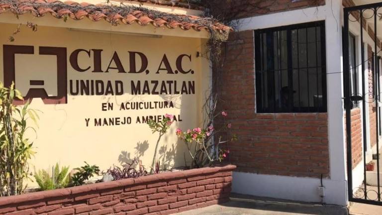 En el CIAD, personal mantiene el emplazamiento a huelga mientras continúan las negociaciones con la dirección del organismo.