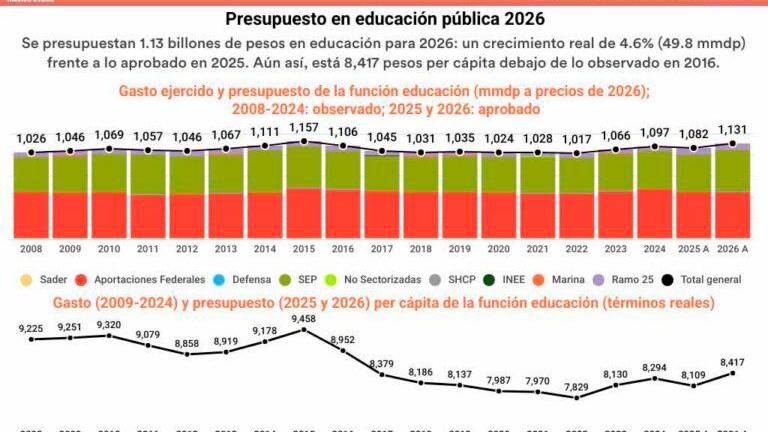 Gráfica con el desglose del presupuesto para educación pública en 2026.