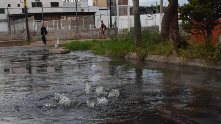 Desde hace casi dos años, calles del Fraccionamiento Villas del Estero, están inundadas de aguas negras.
