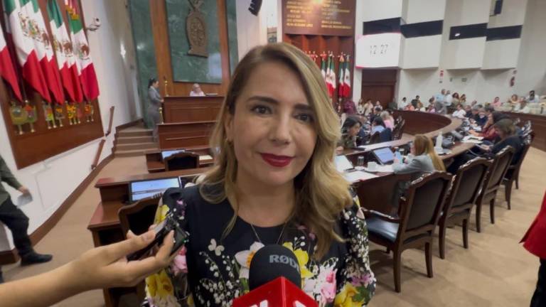 Roxana Rubio Valdez, Diputada local por el PAN, afirma que no respalda la iniciativa del voto familiar.