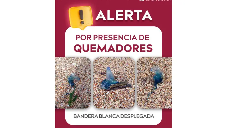 Autoridades municipales pidieron a bañistas evitar zonas con bandera blanca y seguir las indicaciones de salvavidas tras detectar la presencia de “quemadores”.