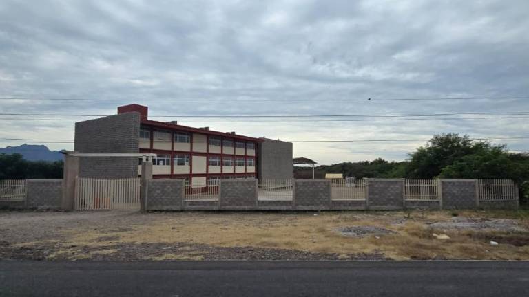 En las instalaciones de la UAdeO en Rosario se registró un ataque de abejas, dejando a dos estudiantes heridos.