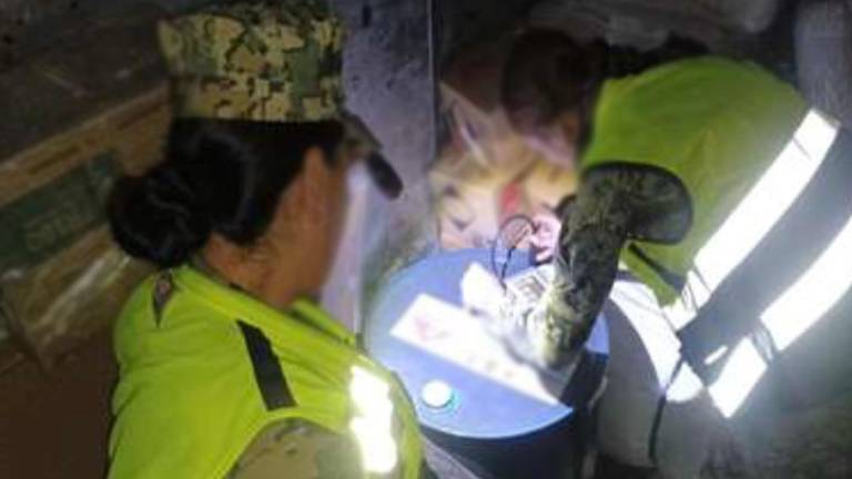 Personal de la Marina resguarda los precursores químicos asegurados en el puerto de Topolobampo.