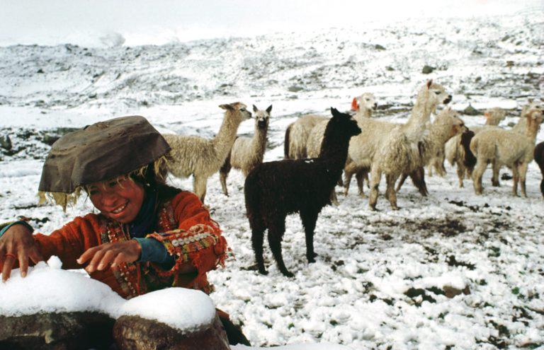 $!En el Perú, los glaciares de la Cordillera Blanca han retrocedido 30 % en 30 años, mientras que la Cordillera Vilcanota lo ha hecho en un 50 % en el mismo periodo de tiempo.