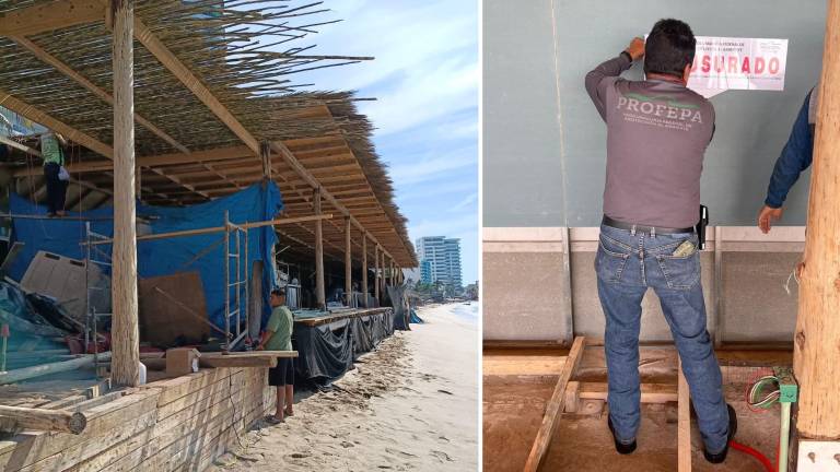 La Profepa clausuró una palapa construida en la playa de Mazatlán por carecer de concesión federal y autorización ambiental.