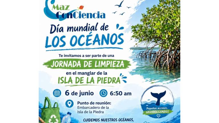Organizaciones como MazConCiencia realizarán actividades de recolección de residuos en Mazatlán como parte de la conmemoración del Día Mundial de los Océanos.