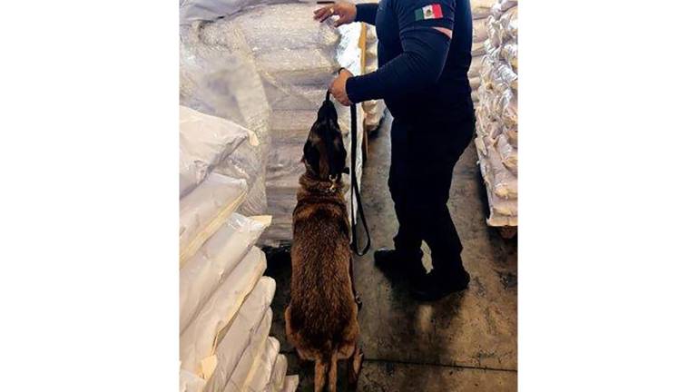 La operación fue identificada mediante acciones coordinadas entre Marina, Aduanas, SSPC y FGR en Lázaro Cárdenas, Michoacán.