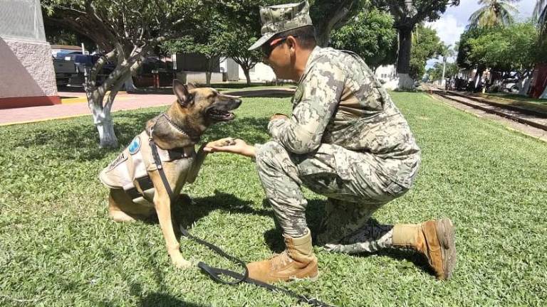 La Cuarta Región Naval rindió homenaje al elemento canino, quien concluye su etapa en el servicio activo de esta Institución.