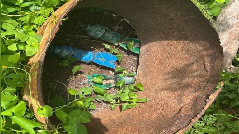 Fuerzas federales y estatales localizaron y destruyeron tres explosivos en Escuinapa y uno en Rosario, tras operativos de reconocimiento terrestre.