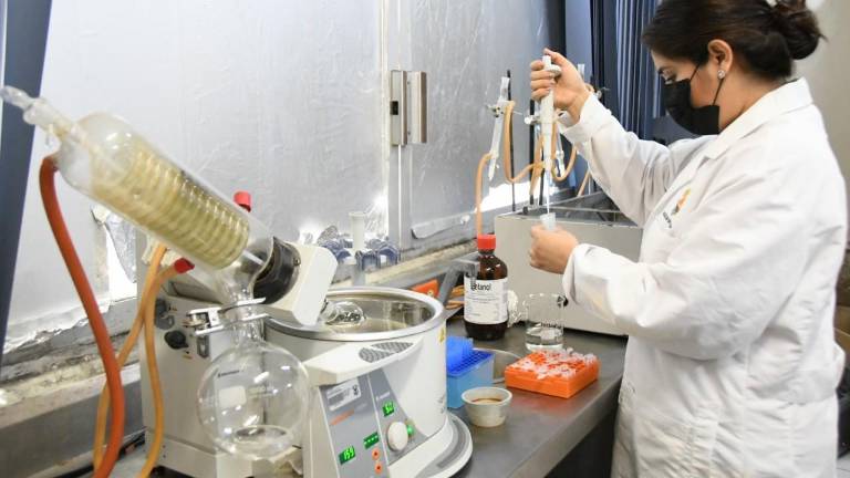 La Universidad Autónoma de Sinaloa reporta que cuenta con 720 académicos registrados en el Sistema Nacional de Investigadores.