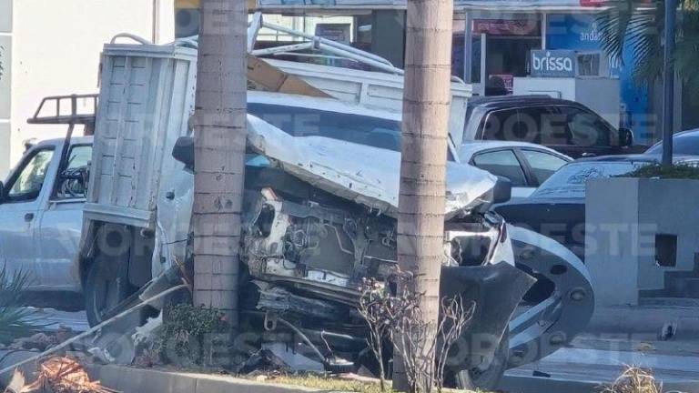 Camioneta derribó una luminaria y una palmera en la Zona Dorada; el conductor resultó ileso.