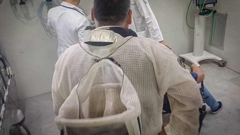 Mujer sufre más de 200 picaduras tras ataque de abejas en la colonia Pemex, en Culiacán