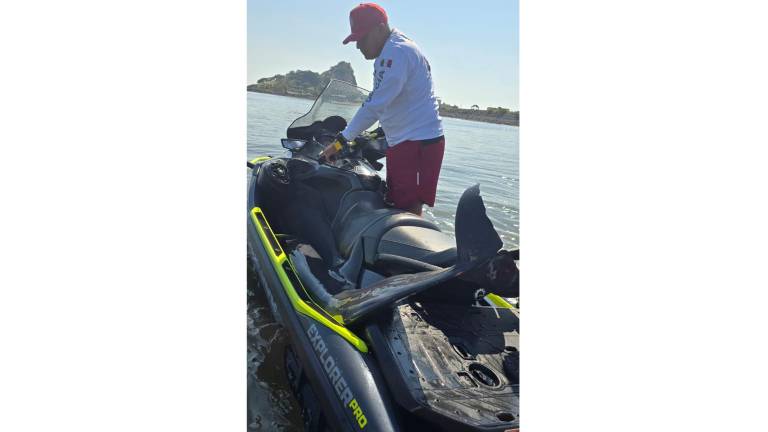 Personal del Escuadrón de Salvamento Acuático y del Acuario Mazatlán regresaron al mar a un delfín rescatado en la Isla de la Piedra.