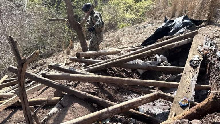 Los campamentos hallados en Escuinapa fueron asegurados y deshabilitados por personal naval con apoyo de otras corporaciones.