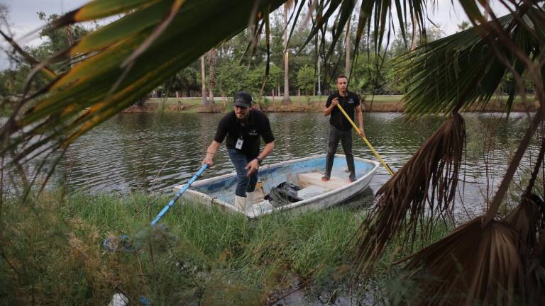 Integrantes de MazConCiencia y el Gran Acuario Mazatlán recolectaron basura en la Laguna del Camarón.