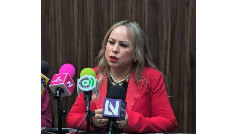 Ruiz Castro advirtió que esta medida es insuficiente para las necesidades logísticas de la entidad y fue enfática al señalar que el bacheo.