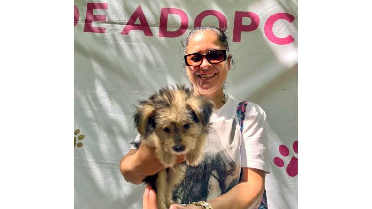 Más de 95 perros y gatos han sido reubicados con diversas familias mediante el programa “Huellitas del Bienestar”, del Gobierno de Mazatlán.
