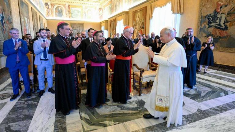 El Papa recibe en audiencia a los participantes en el IV Encuentro Sinodal “Fratelli Tutti - Diálogo Socio-Ambiental Norte Sur”, este sábado 12 de septiembre de 2026.