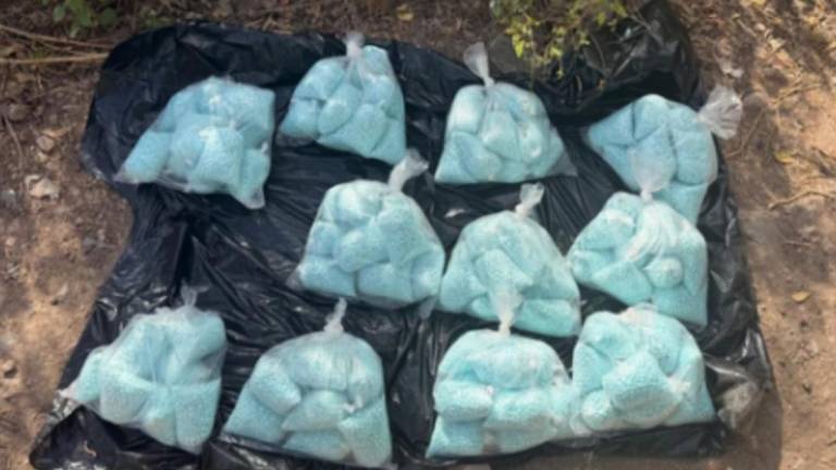 Guardia Nacional decomisó presunto fentanilo en operativo conjunto en la colonia Bicentenario.