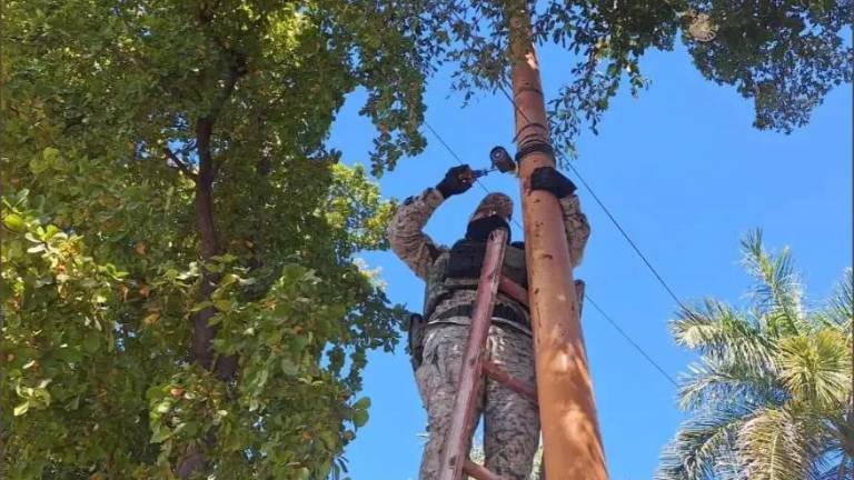 Las autoridades estatales explican que las cámaras serían inutilizadas.