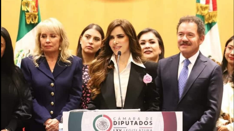 Gloria Trevi acude a la Cámara de Diputados.