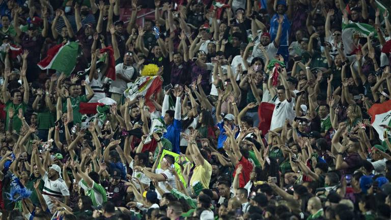 Los gritos homofóbicos siguen trayendo dificultades a la FMF.