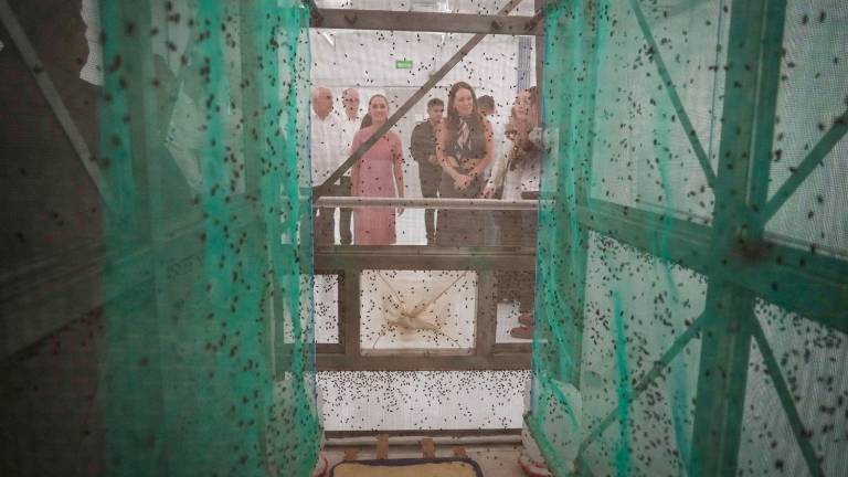 La Presidenta Claudia Sheinbaum encabezó la inauguración de la planta de producción de moscas estériles del gusano barrenador en Chiapas, junto con autoridades de EU.