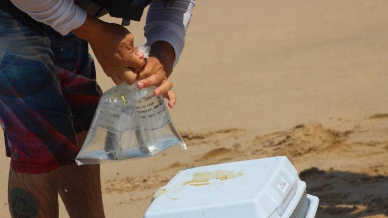 El monitoreo avala condiciones óptimas para bañistas en la temporada decembrina.