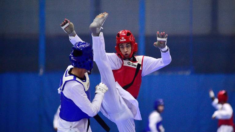Los taekwondoínes sinaloenses lograron casi el medio centenar de boletos para la Olimpiada Nacional 2026.