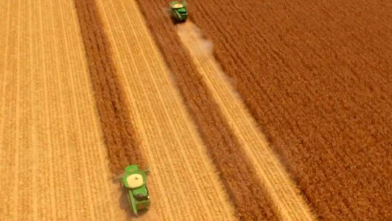 Con un avance del 80% de la cosecha el USDA estima mayores rendimientos