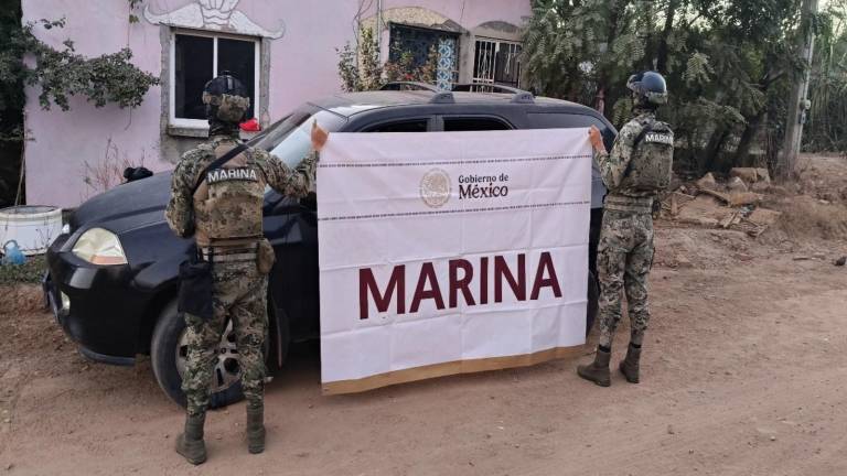 Personal de la Secretaría de Marina Armada de México detuvieron a un hombre en Concordia, a quien le aseguraron un arma y un vehículo.