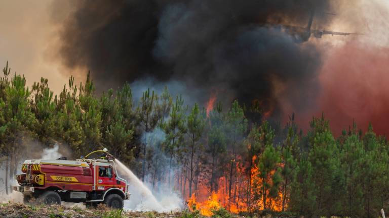 Las altas temperaturas, la sequía y los fuertes vientos mantienen elevada la amenaza en distintas regiones del continente.