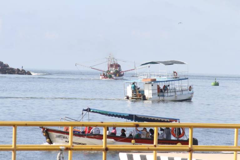 Por crisis, solo saldrá el 50% de la flota camaronera a altamar: Canainpesca